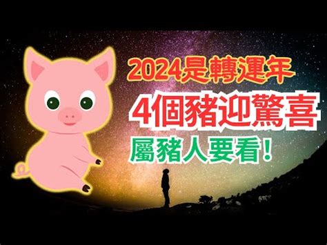 2024 運程 豬|2024年龍年12生肖運程分析｜事業、感情、財運、健 